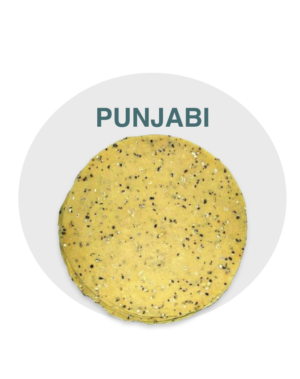 Punjabi